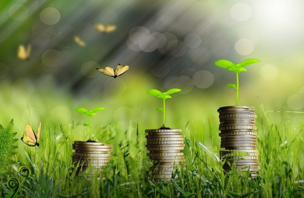 Without Climate Finance, We Won’t Have Farms Left to&nbsp;Save